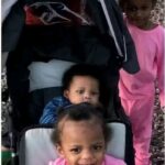 Anyla Rogers, Alaya Rogers, and Kaysen Rogers Missing: St. Louis Community Seeks Justice and Safe Return After Parental Abduction