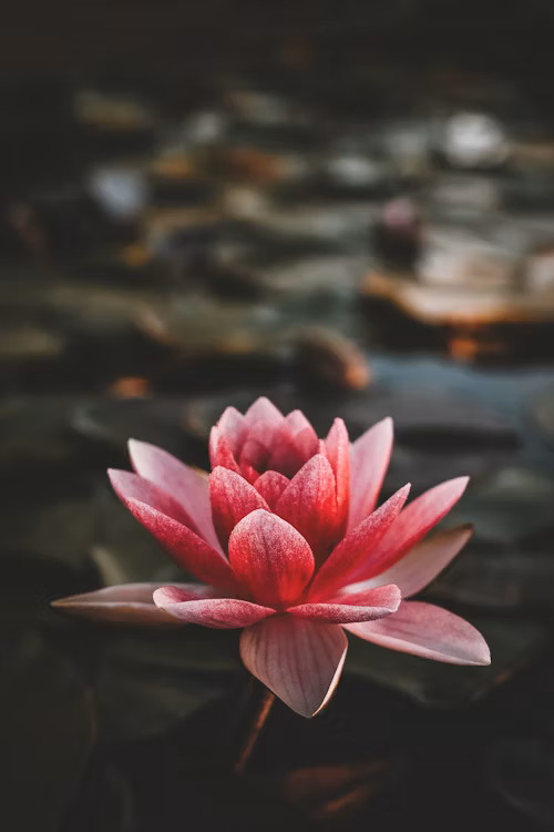 Noah Isaiah Wells Obituary McIntosh, AL: Beloved Son, Brother, and Friend Tragically Passes Away, Leaving a Legacy of Kindness and Community Spirit https://obituaryobit.icu/2025/05/09/noah-isaiah-wells-obituary-mcintosh-al-beloved-son-brother-and-friend-tragically-passes-away-leaving-a-legacy-of-kindness-and-community-spirit/