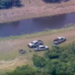 Florida Woman Killed in Alligator Attack During Canoeing Trip with Husband
