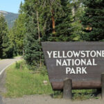 Yellowstone National Park Accident: Undisclosed Seven People Dies Following Tour Bus Crash Today at Yellowstone National Park