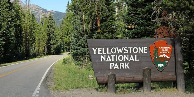 Yellowstone National Park Accident: Undisclosed Seven People Dies Following Tour Bus Crash Today at Yellowstone National Park